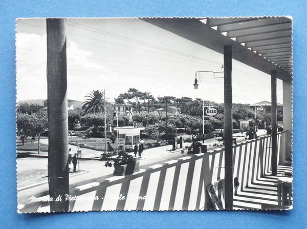 Cartolina Marina di Pietrasanta - Viale Roma - 1954