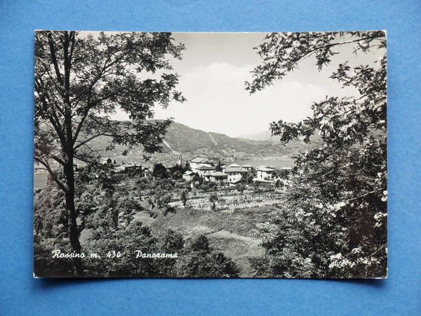 Cartolina Rossino - Panorama - 1952.