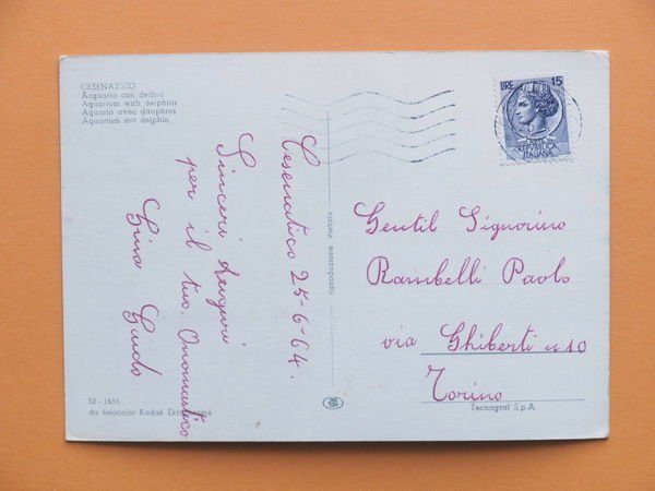 Cartolina Cesenatico - Acquario con delfini - 1964 | Immagine Gallery 2
