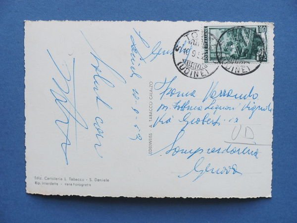 Cartolina San Daniele del Friuli - Panorama - 1953