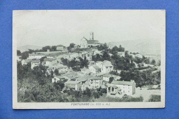 Cartolina Fortunago - Panorama - 1924 ca.
