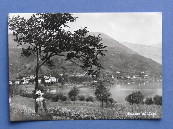 Cartolina Spinone al Lago - Panorama - 1959