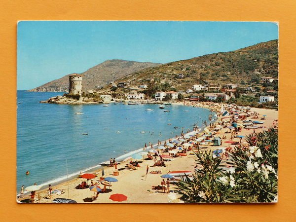 Cartolina Isola del Giglio - Giglio Campese - La spiaggia …