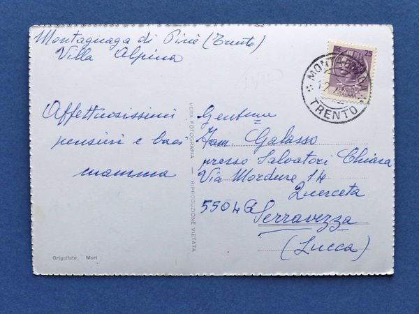 Cartolina Montagnaga di Pinè - Villa Alpina - 1968