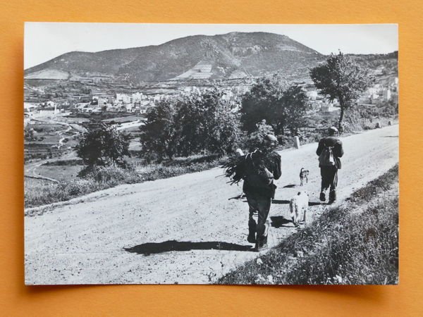 Cartolina Orgosolo - Panorama 1970