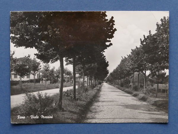 Cartolina Fano - Viale Mazzini - 1969