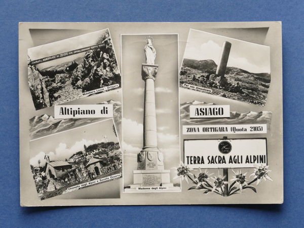 Cartolina Altipiano di Asiago - Varie vedute - 1964