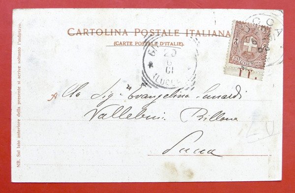 Cartolina Lucca - Mura della città con la Porta di …