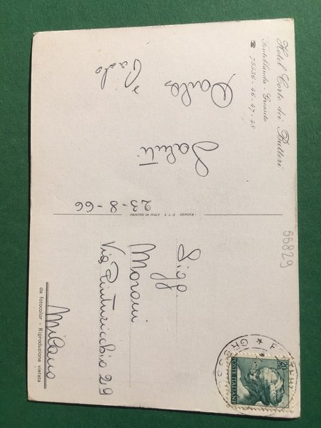 Cartolina Hotel Corte Dei Butteri - Grosseto - 1966