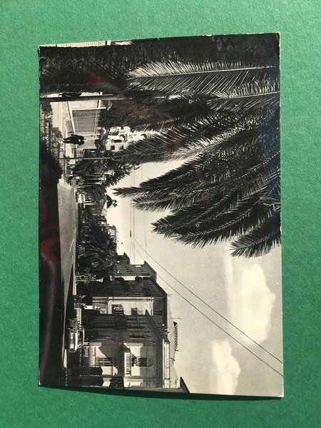 Cartolina Chiavari - Viale Delle Palme - 1960 Ca.