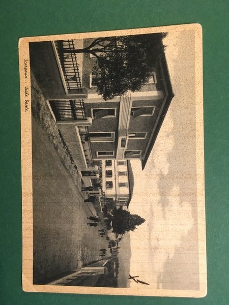 Cartolina Scarperia - Viale Dante - 1939