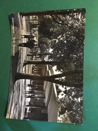 Cartolina Salsomaggiore - Viale Romagnosi - 1954