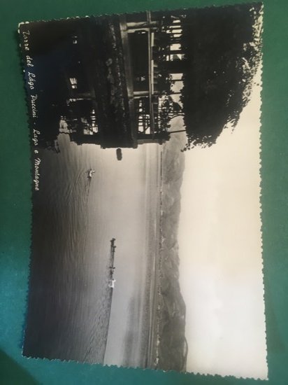 Cartolina Torre Del Lago Puccini - Lago E Montagne - …