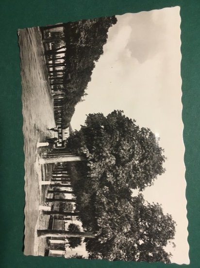 Cartolina Faenza - Viale Della Stazione - 1960ca.