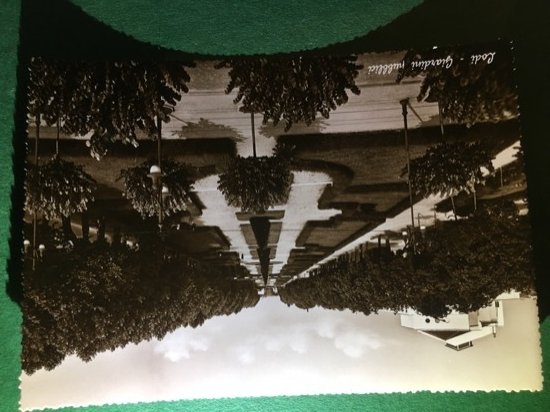 Cartolina Lodi - Giardini Pubblici - 1960 Ca.