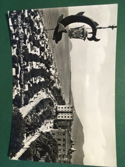 Cartolina Riviera Delle Palme - Ceriale - Camping La Pineta …