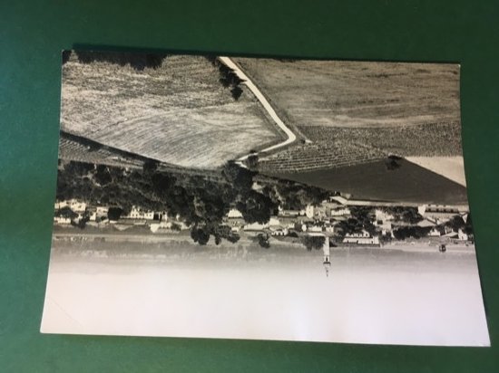 Cartolina Terruggia - Panorama - 1960 ca.