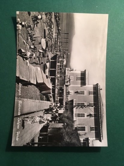 Cartolina Lavagna - Ristorante Delfino Verde - 1960