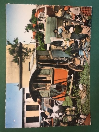 Cartolina En Camargue - Pèlerins Gitans Et Leur Campement Aux …