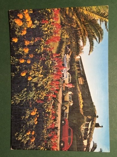 Cartolina Forte Dei Marmi - La Capannina - 1967