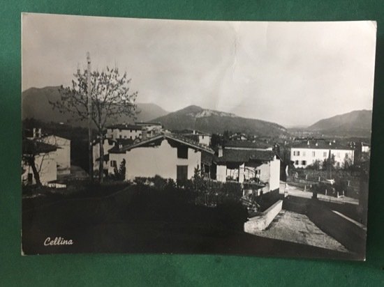 Cartolina Saluti Da Cellina - 1951