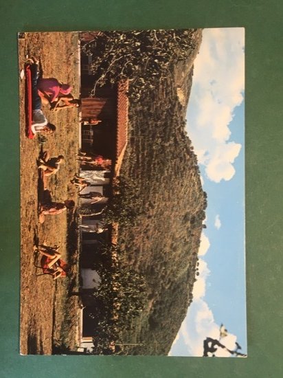 Cartolina Parghelia - Villaggio Mondo x - 1973