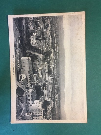 Cartolina Treviso - Panorama - 1951