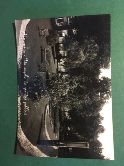 Cartolina Alessandria - Un Angolo dei Giardini Pubblici - 1960 …