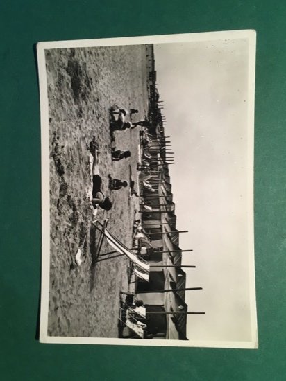 Cartolina Alberone - Lido - La Spiaggia - 1951