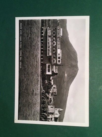 Cartolina Pesce Vivo Casa Rossa Torre Del Greco - 1960 …