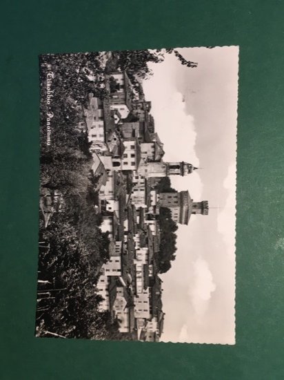 Cartolina Trisobbio - Panorama - 1958