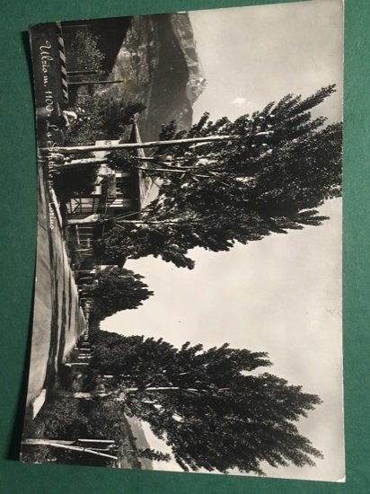 Cartolina Ulzio - La Statale per Torino - 1958