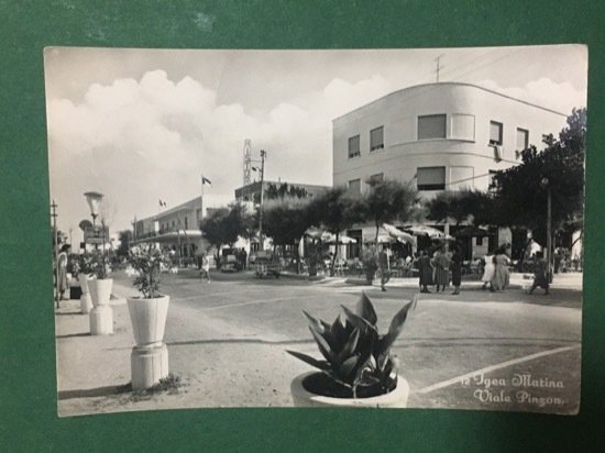 Cartolina Igea Marina - Viale Pinzone - 1956