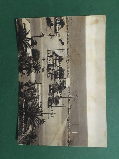 Cartolina Marina di Massa - Panorama - 1919