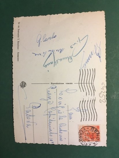 Cartolina Arenzano - Panorama dalla Pineta - 1956