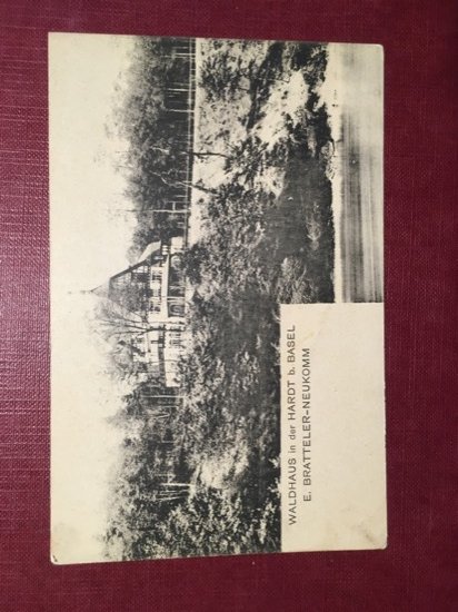 Cartolina Waldhaus in der Hardt b.Basel E. Bratteler Neukomm - …