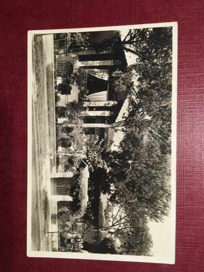 Cartolina Viareggio - Villa Puccini - 1931