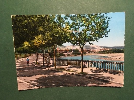 Cartolina Casale Monferrato - Lungo Po - 1965