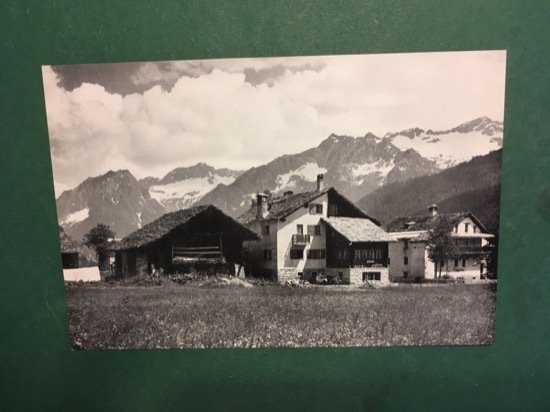 Cartolina Pensione Gnifetti - A Pecetto di Macugnaga - 1950 …
