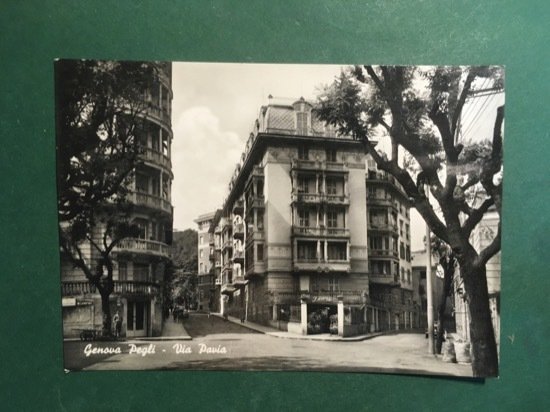 Cartolina Genova Pegli - Via Pavia - 1960 ca.