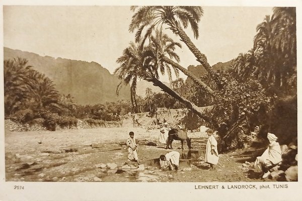 Cartolina Coloniale - Tunisia - L'Uadi - 1920 ca.