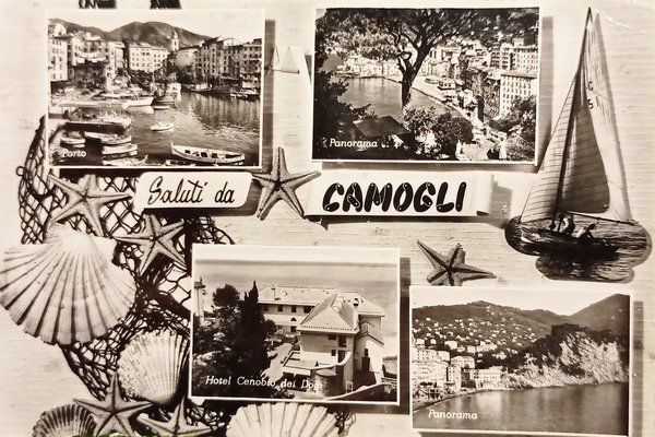 Cartolina - Saluti da Camogli - Vedute diverse - 1956
