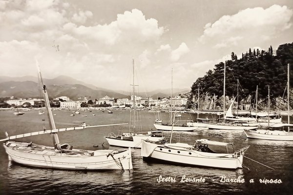 Cartolina - Sestri Levante - Barche a riposo - 1958