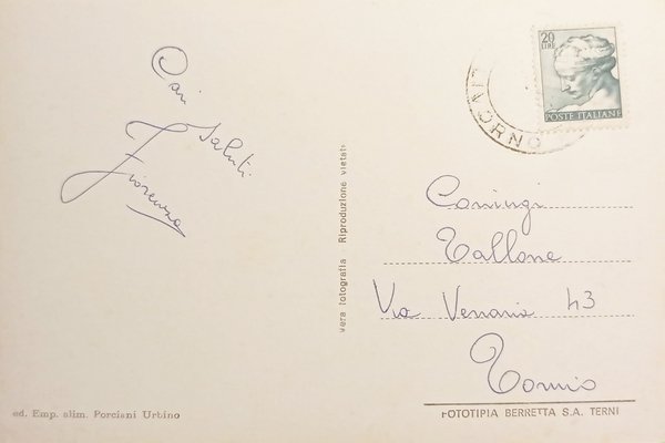 Cartolina - Donoratico Mare ( Livorno ) - Panorama parziale …