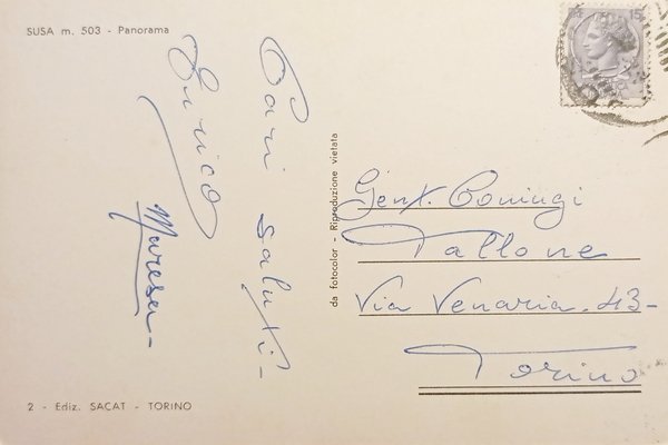 Cartolina - Susa - Panorama - 1960 ca.