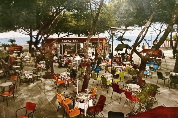 Cartolina - Riviera delle Palme - Loano - La Pineta …