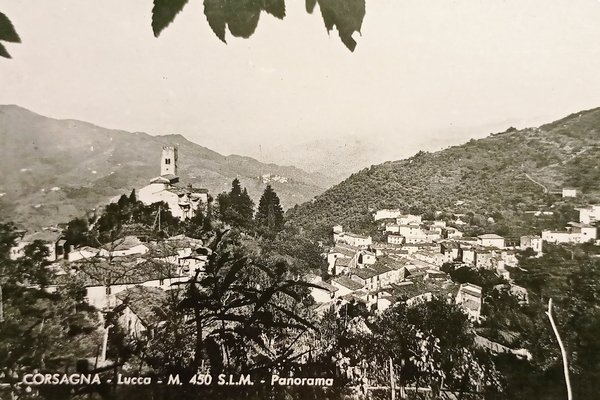 Cartolina - Corsagna ( Lucca ) - Panorama - 1975