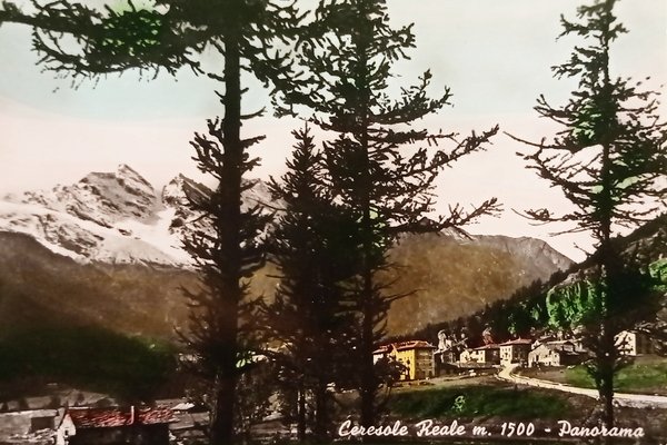 Cartolina - Ceresole Reale ( Torino ) - Panorama - …