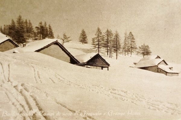 Cartolina - Bardonecchia - Campi di neve di Fregiusia e …