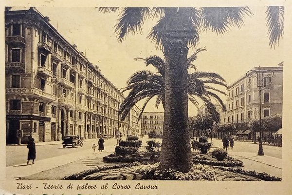 Cartolina - Bari - Teorie di palme al Corso Cavour …